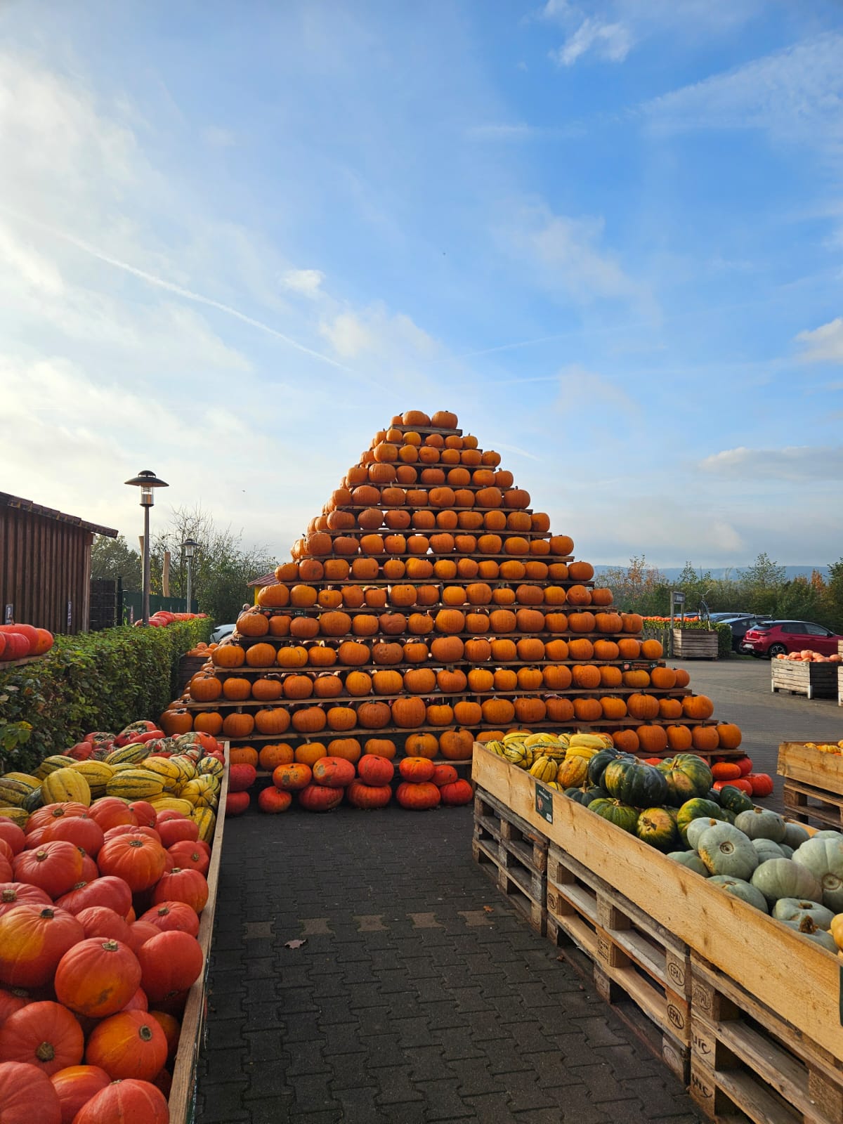 Ausflug zum Hof Löbke