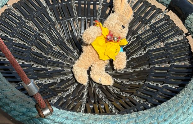 Mit Hase Felix auf Abenteuern