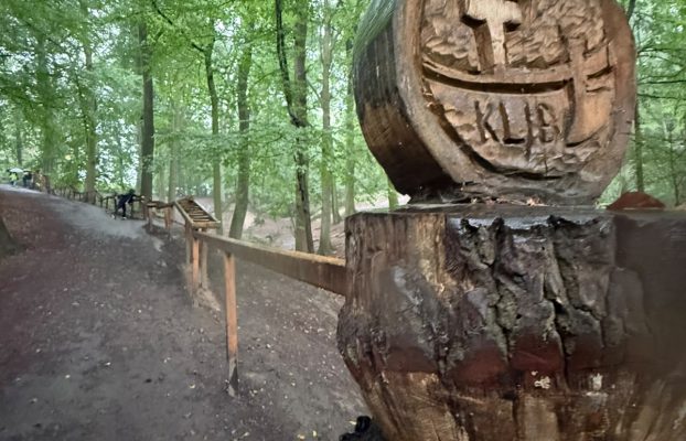 Ausflug des 3. und 4. Jahrgangs zur Waldkugelbahn in Mettingen